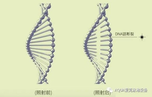 紫外线杀菌原理图示